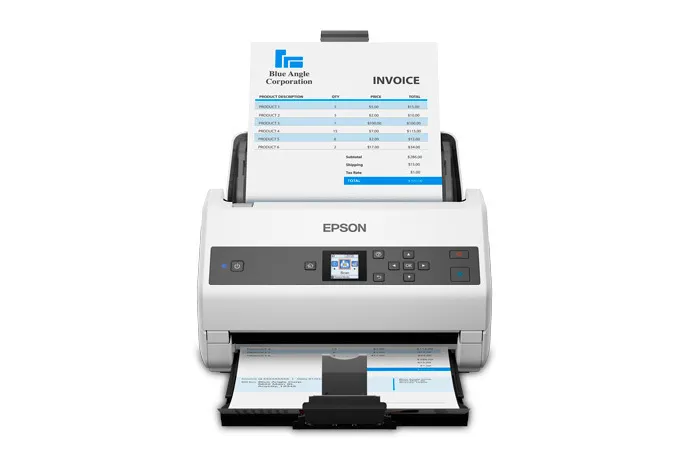 Escáner WORKFORCE EPSON B11B251201